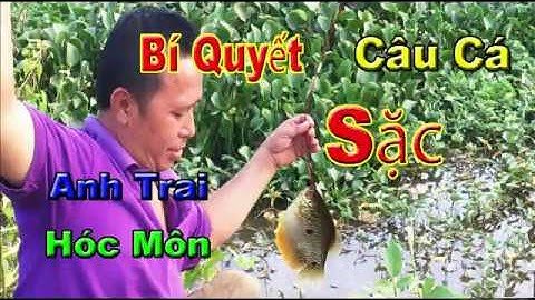 Bí quyết câu cá Sặc của anh trai Hóc Môn| Câu cá Sặc ở Hóc Môn