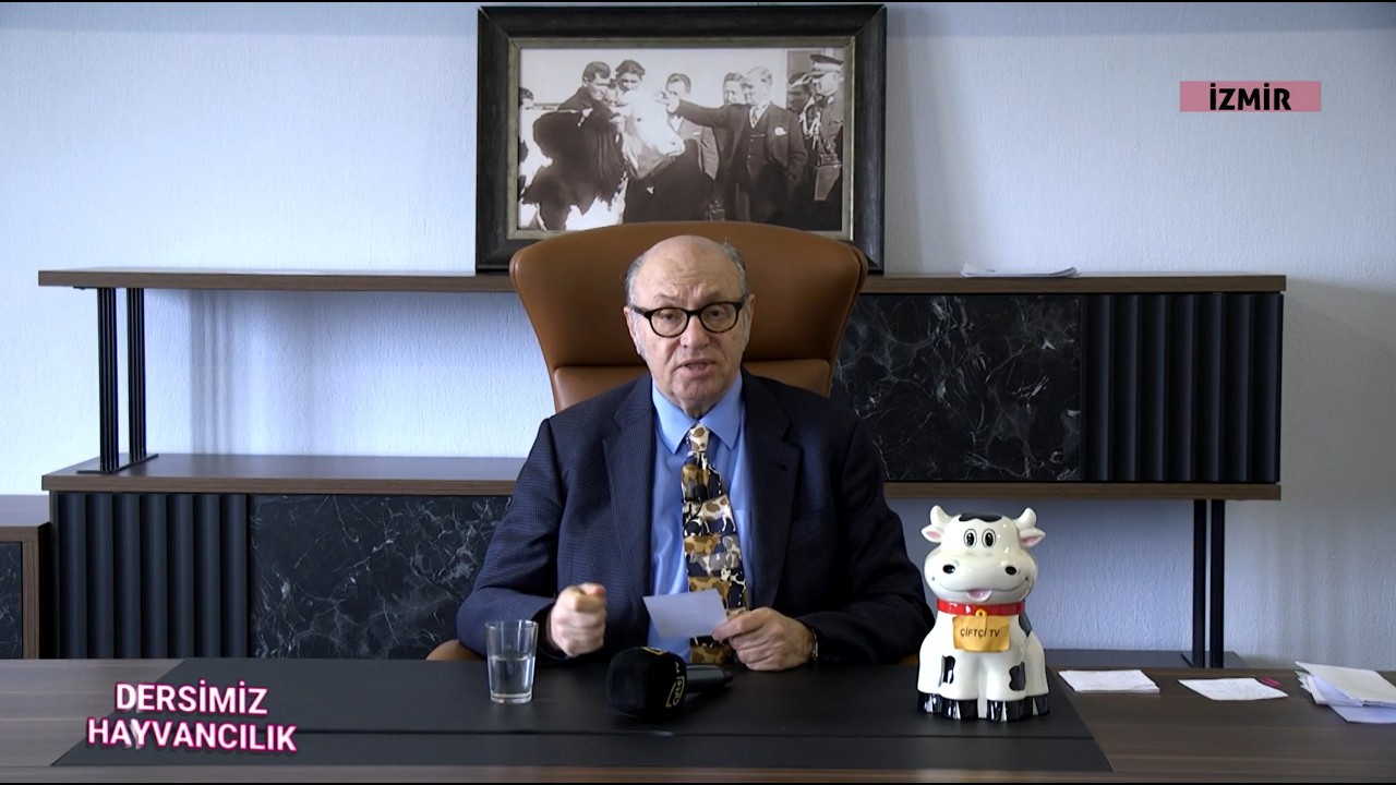 Veteriner Hekime Doğru Anamnez Nasıl Verilir? Çiftlikte En Yaygın Yapılan Hatalar