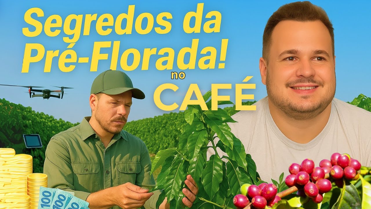 Cálcio, Boro e Magnésio: O Segredo da Florada Lucrativa no Agro!