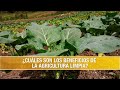 Cuales son los Beneficios de la Agricultura Limpia- TvAgro por Juan Gonzalo Angel Restrepo