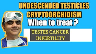 Are Your Testicles In Your Pouch?? Cryptorchidism Testes Cancer And Infertility