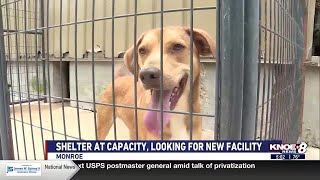 Humane Society Adoption Center of Monroe looks for new facility as it reaches capacity