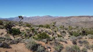 Yucca valley, california