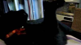 20100524_083.AVI