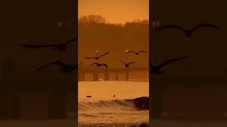 Download Lagu Geeflow Musab-Hasbi RABBI.. my video MV MP3