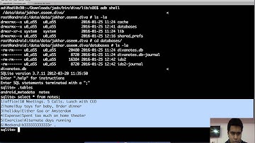 DIVA 4   Insecure Data Storage 2