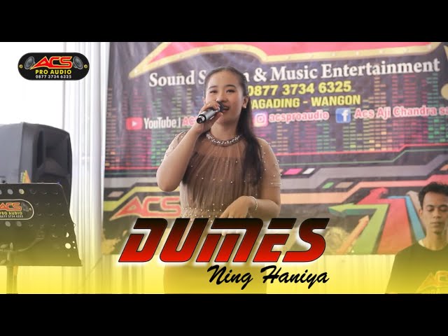 DUMES || Ning Haniya || ACS Pro Audio (live) class=