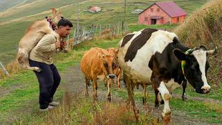 Animals' Paradise: The Young Man on the Plateau