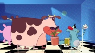 Oggy and the Cockroaches - MILK DIET  (S02E83) Full Episode in HD Resimi