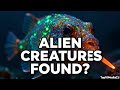 3 Bizarre Deep Sea Discoveries Scientists Still Can't Explain #facts #science #shorts #amazing