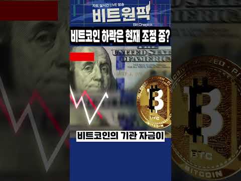 비트코인 하락은 현재 조정중?
