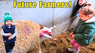 Little Farmers, Big Achievements:  Life Lessons! #farmlife #sheepfarming