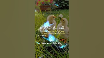تلاوة خاشعة عطرة مباركة جميلة عذبة للشيخ فارس عباد ماتيسر من سورة الشعراء