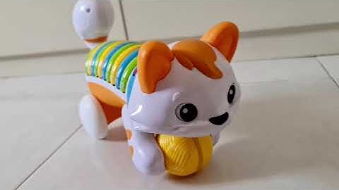 Leapfrog Count and Crawl Kitty