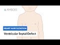 Ventricular Septal Defect (VSD) - Heart Auscultation - Episode 11