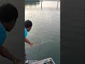Net fishing # on fishing boat