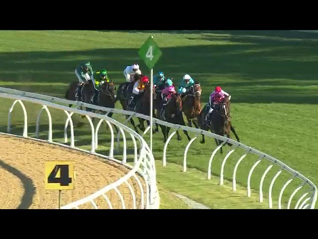 Saturday Racing Preview