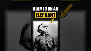 His Pamphlet Blamed an Elephant | Joseph Merrick, The Elephant Man
