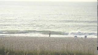 Tony Silvagni Surf School Hamlet  Ave. Surf Cam