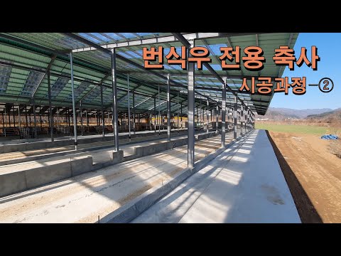 [축사TV] 축사 신축 과정, 한우축사, 번식우 전용축사, 축사철골시공, 축사내부공사, 축사 퇴비사 - YouTube