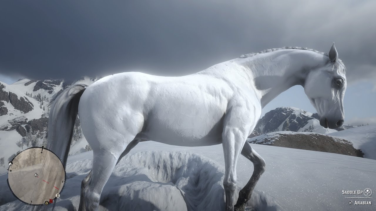 Best Free Horse in Red Dead Redemption 2 YouTube