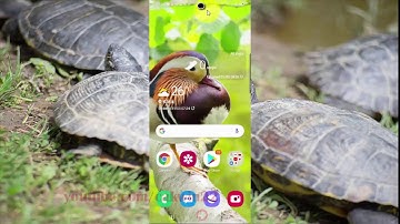 Samsung Galaxy S20 : How to adjust Physical activity permission in specific app (Android 10)