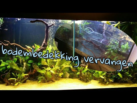 AQUARIUM bodembedekking vervangen! //Nickey// -