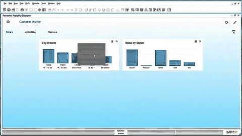 Pervasive Analytics Enhancements in SAP Business One 9 1, version for SAP HANA   Feature Clip