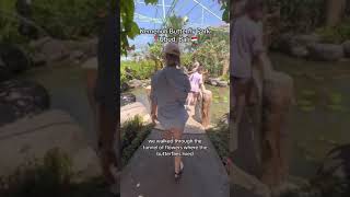 Kemenuh Butterfly Park Ubud: A Must-See Bali Experience for Families