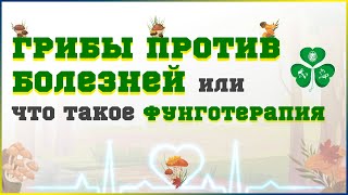 ГРИБЫ ПРОТИВ БОЛЕЗНЕЙ или ЧТО ТАКОЕ ФУНГОТЕРАПИЯ|КИЕВСКИЙ ЦЕНТР ФУНГОТЕРАПИИ, БИОРЕГУЛЯЦИИ И АЮРВЕДЫ