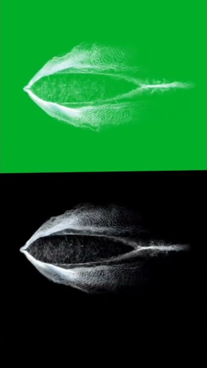 jalur perahu layar hitam tanpa hak cipta, jalur perahu layar hijau #shorts