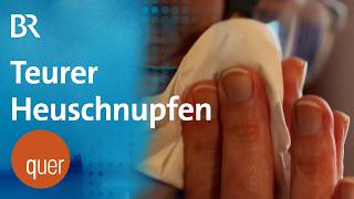 Pollen-Alarm – Kommunen im Kampf gegen Heuschnupfen