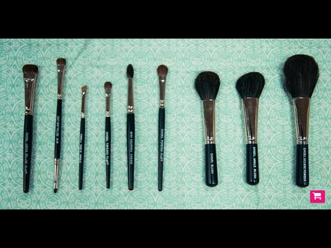 Brochas básicas a usar para cualquier maquillaje.
