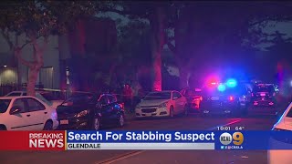 Celebrity Police Searching For Suspect In Fatal Glendale Stabbing Profile