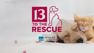 Clear the Shelters