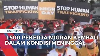 Desakan Agar Pemerintah Bantu Pulangkan Pekerja Migran Kamboja ke Tanah Air