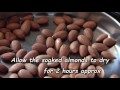 How to prepare Almonds for Paleo diet