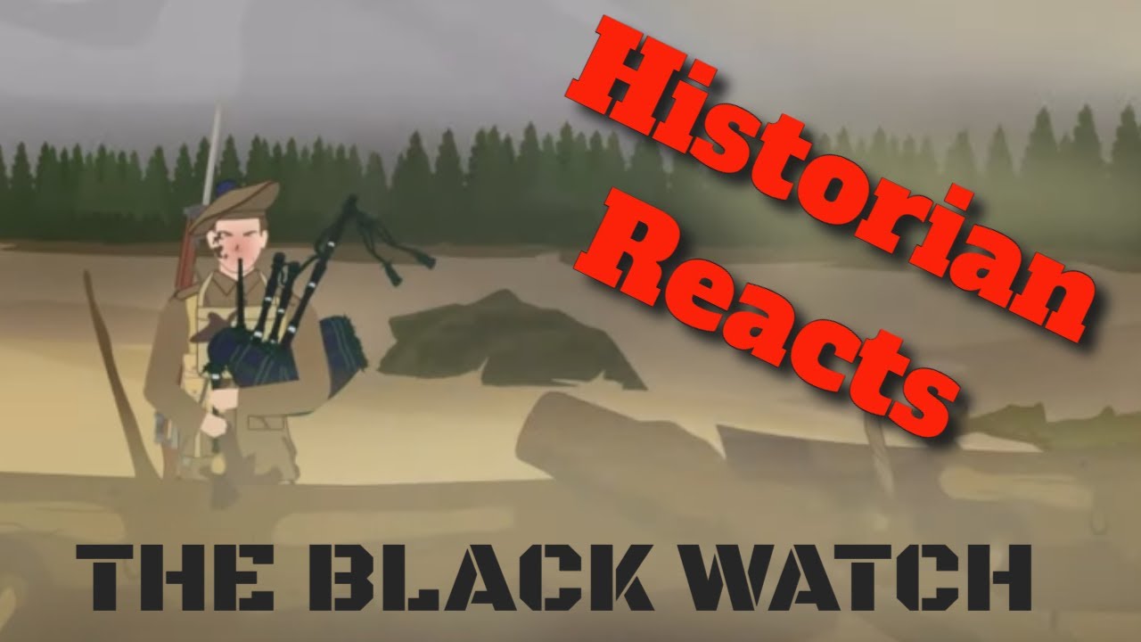 Scottish Black Watch (World War I) - Historian Reaction
