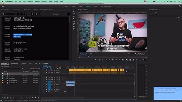 117 Exporting and Burning in subtitles open captions in Premiere Pro