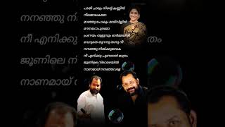 ജണല നലമഴയൽ Junile Nilamazhayil