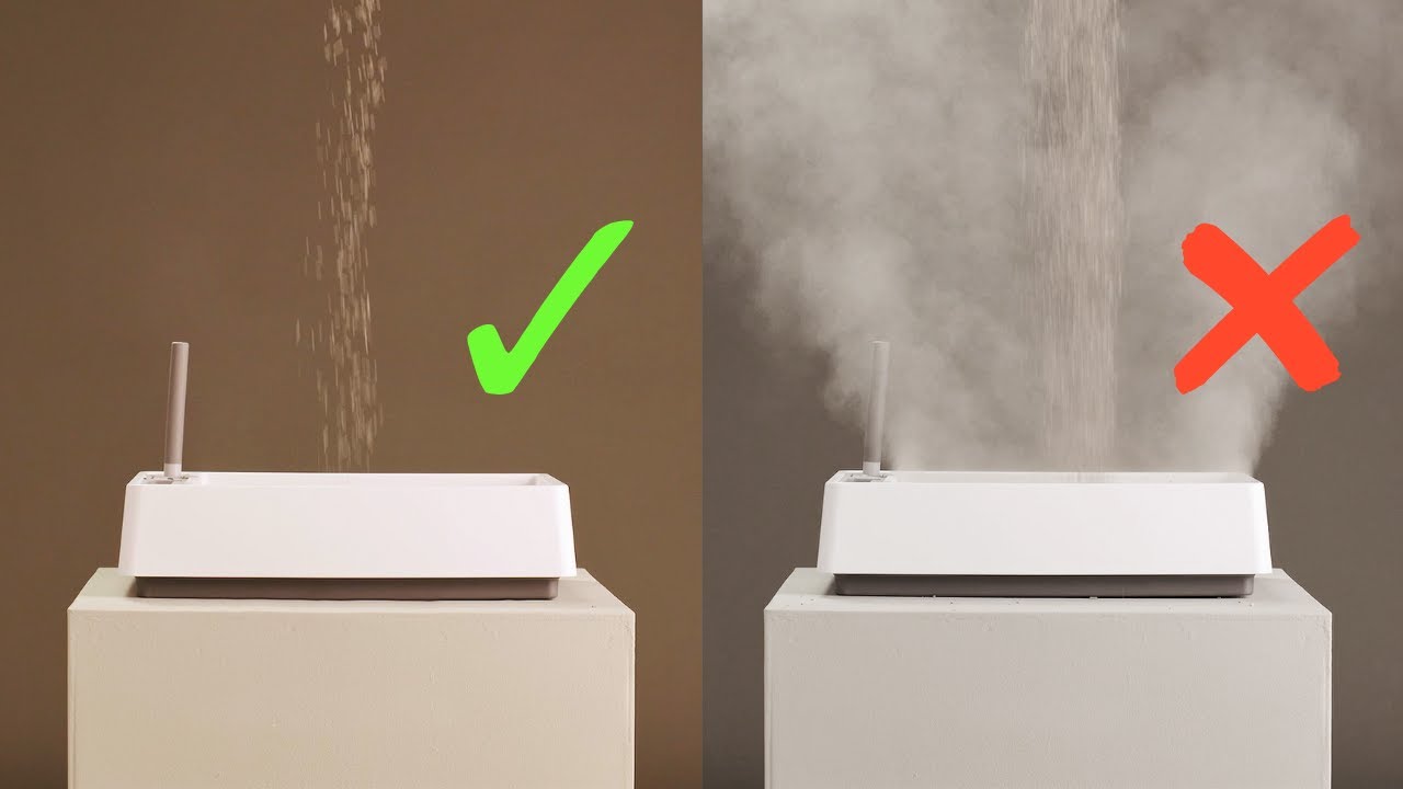 Top 5 BEST Dust Free Cat Litter Brands (2023) YouTube