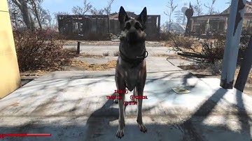 Fallout 4: Infinite S.P.E.C.I.A.L points (dupe glitch) *in depth*