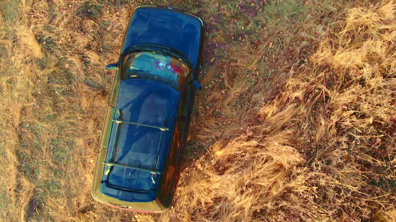 Октябрь / Лес сбросил листву / Самарская область - YouTube