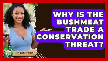 Why Is The Bushmeat Trade A Conservation Threat? - Explaining Ecology
