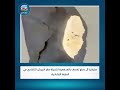 مليشيا آل دقلو تقصف بالمدفعية الثقيلة مقر الجيش التشادي في الطينة التشادية