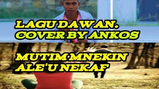 Download Lagu LAgu Dawan OE cusse Ankos MP3