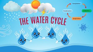 The Water Cycle | Educational Video for Kids | Learn about Earths water cycle #WaterCycle