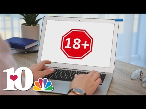 TN Bill Would Require ID Verification To Access Adult Oriented Websites 