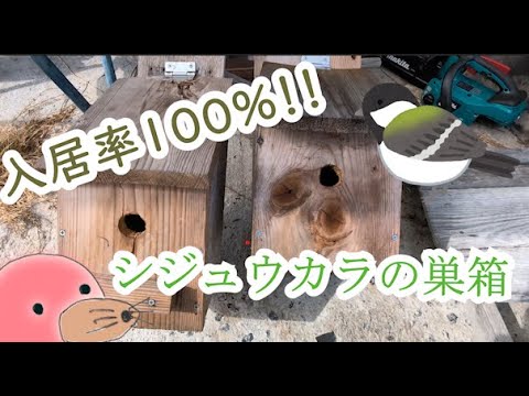 小鳥の巣の電tw12 小鳥の巣の電tw12 小鳥の巣の電tw12 【公式通販】