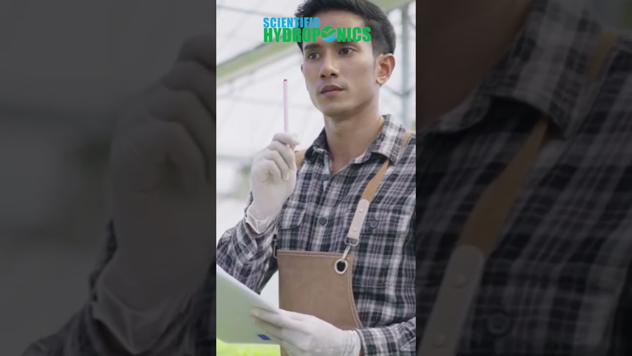 Hydroponic fodder is contamination free at every growth stage scine it is grown in close system